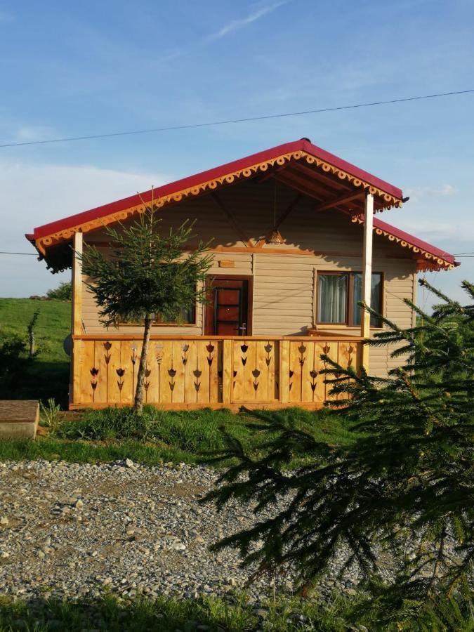 Cabana De Lemn Runcu Stone Exterior foto