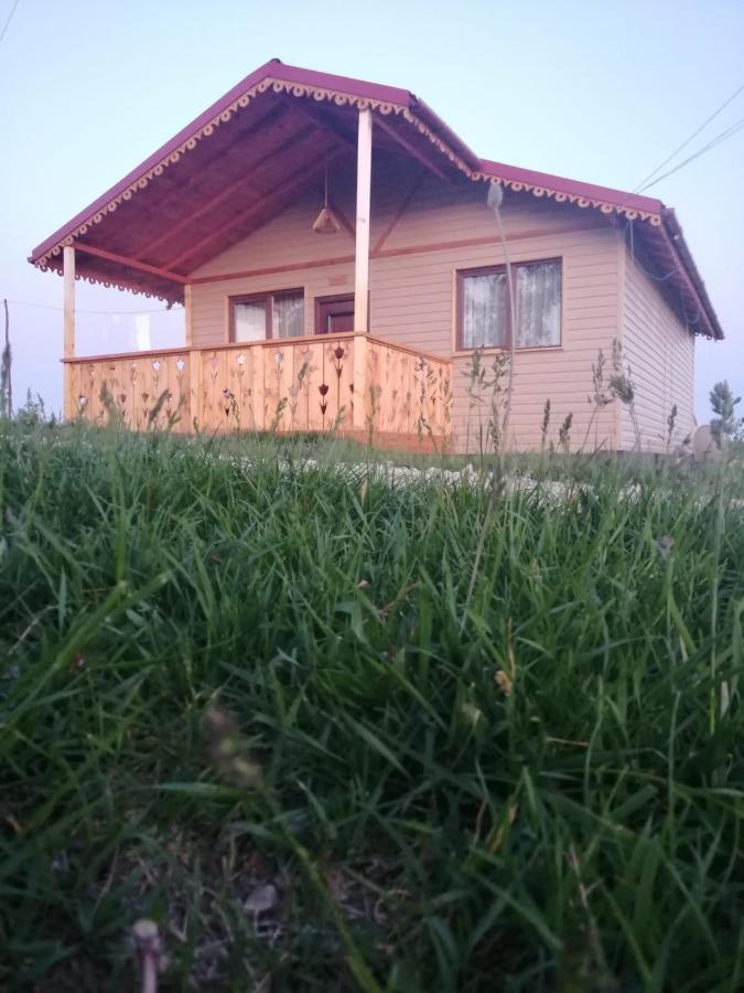 Cabana De Lemn Runcu Stone Exterior foto